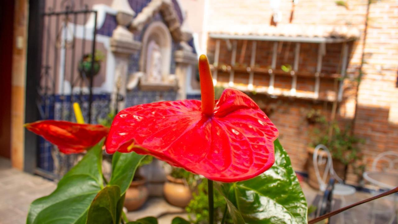 ホテルMansion Mijashe Wellness & Travel House モレリア エクステリア 写真